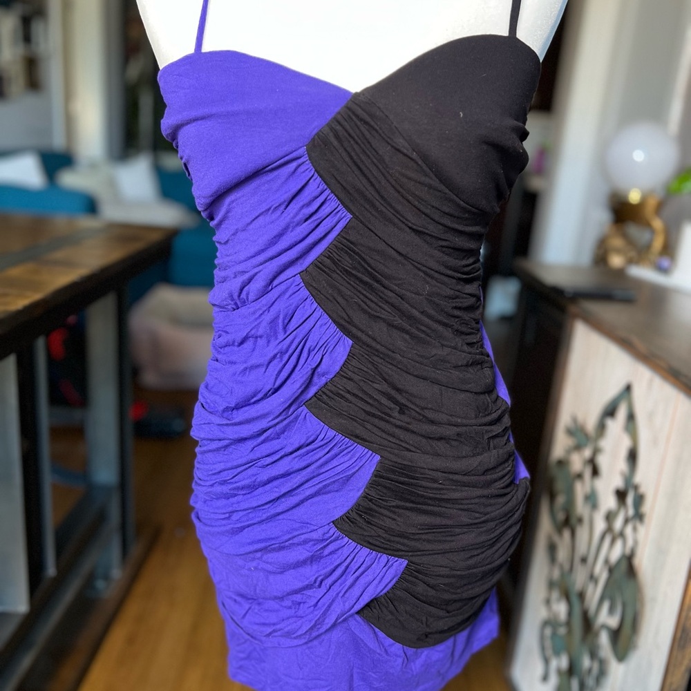 AKIRA Purple and Black Ruched Mini Dress